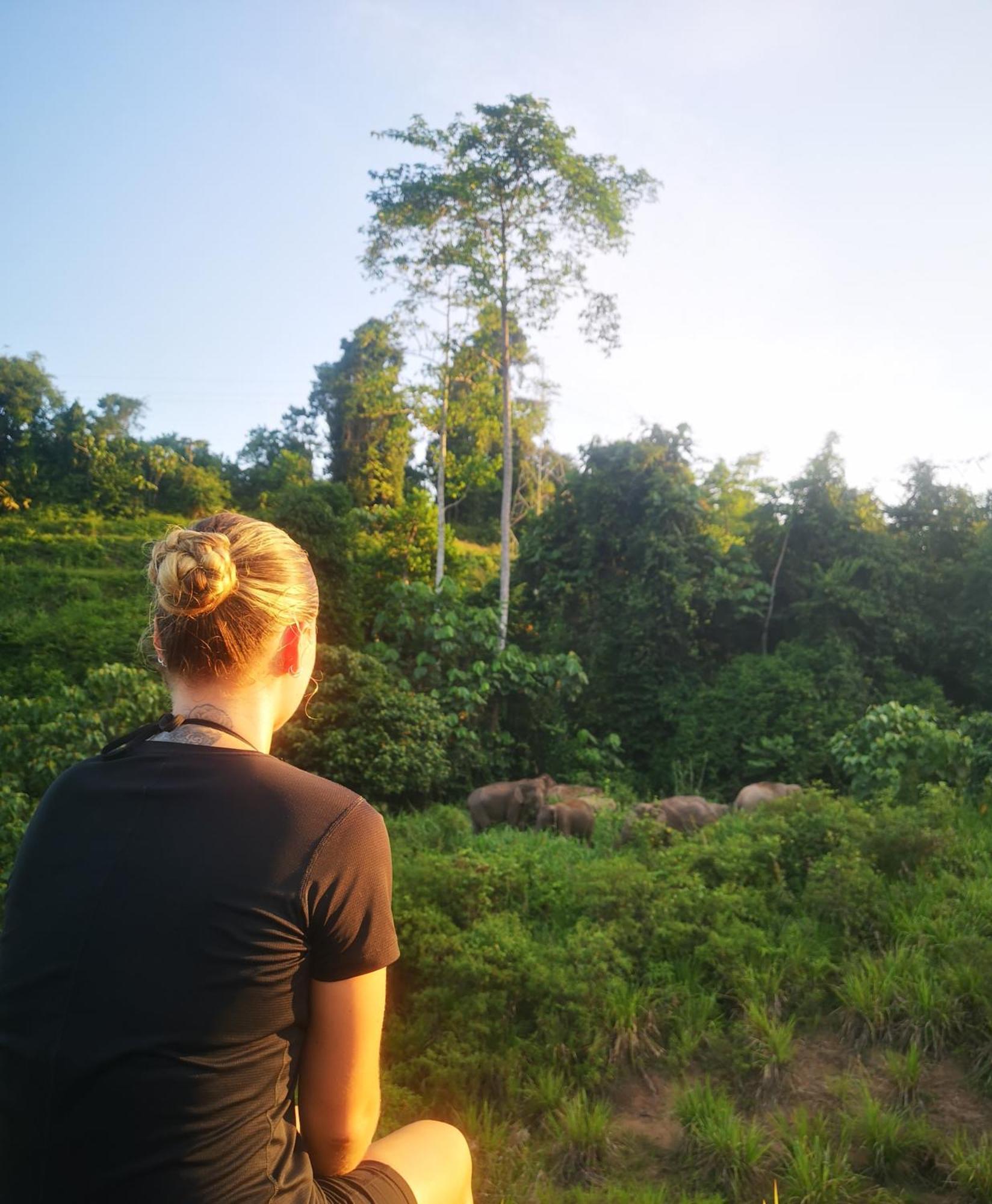 Wild Lodge Taman Negara Kuala Tahan Eksteriør billede